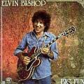 Elvin Bishop - Big Fun