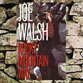 Joe Walsh (Guitar) - Rocky Mountain Way