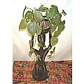 African Wood Carved Large Flower Pot (Ghana)