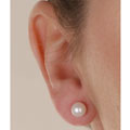 DaVonna 14k Gold Akoya Cultured Pearl  Earrings (5.5-6 mm)