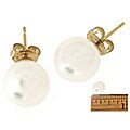 DaVonna 14k Gold Cultured Akoya Pearl Earrings (8.5-9 mm)