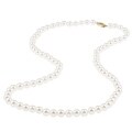 DaVonna 14k Gold Akoya Cultured Pearl Necklace (6.5-7 mm/ 24 in)