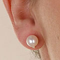 DaVonna 14k Gold Akoya Pearl and Diamond Earrings (7-7.5 mm)