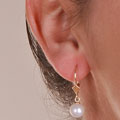 DaVonna 14k Gold Cultured Akoya Pearl Leverback Earrings (7-7.5 mm)
