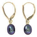 DaVonna 14k Gold Black Cultured Freshwater Pearl Earrings (6-7 mm)