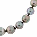 DaVonna 14k Gold Black Cultured Tahitian Pearl Necklace (9-11 mm/ 18 in)