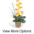Single-stem Phalaenopsis Silk Orchid Plant