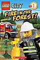 Fire in the Forest! (Paperback)