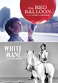 Red Balloon / White Mane - Janus Films (DVD)