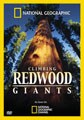 Climbing Redwood Giants