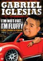 Gabriel Iglesias: 2 Hot 2 Fluffy (DVD)