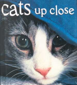 Cats Up Close