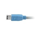 FireWire 400 Cable