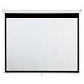 AccuScreen Manual Wall and Ceiling Projection Screen