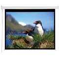 Electrol Projection Screen