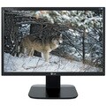 LG L192WS-BN 19-inch Widescreen LCD Monitor (Refurbished)