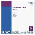 Professional Exhibition Paper