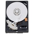 Western Digital RE2-GP WD1000FYPS 1 TB Internal Hard Drive - Bulk