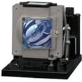 Replacement Lamp