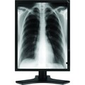NEC Display MultiSync MD213MG LCD Monitor