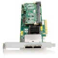Smart Array P411 SAS RAID Controller