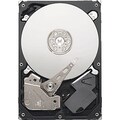 Seagate Pipeline HD ST31000322CS 1 TB Internal Hard Drive