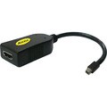 Accell UltraAV B086B-002B A/V Cable Adapter