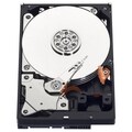 Scorpio Blue WDBABC3200ANC-NRSN Hard Drive