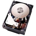 IBM 146.80 GB 3.5" Internal Hard Drive