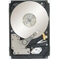 Seagate Constellation.2 ST9500621SS 500 GB Internal Hard Drive