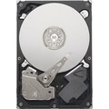 Seagate Pipeline HD ST2000VM002 2 TB 3.5" Internal Hard Drive