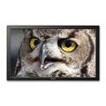 Sharp PN-T321 32" LED LCD Monitor