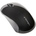 72401 Mouse