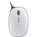 Express Mouse