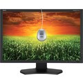 NEC Display MultiSync P241W-BK-SV 24" CCFL LCD Monitor - 16:10 - 8 ms