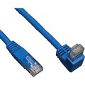 Tripp Lite N204-010-BL-DN Cat.6 Patch Cable
