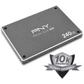PNY 240 GB Internal Solid State Drive