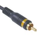 Velocity Video Interconnect Cable