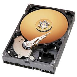 Western Digital Caviar WD800BB Hard Drive (Refurbished)