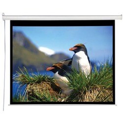 Draper Electrol Projection Screen