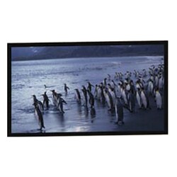 AccuScreens Fixed Frame Projection Screen