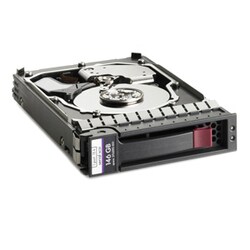HP SAS 300 Internal Hard Drive