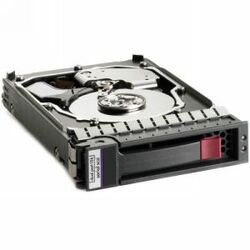 HP SAS 300 Internal Hard Drive
