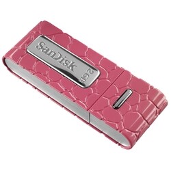 SanDisk 2GB Cruzer Gator USB 2.0 Flash Drive