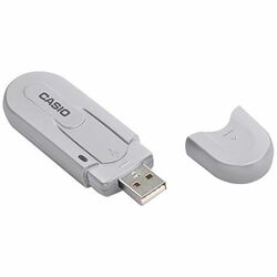 Casio IEEE 802.11b UBS Network Adapter