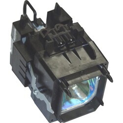 eReplacements Replacement Lamp
