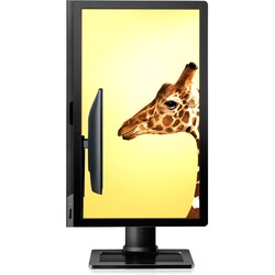 BenQ BL2201PU 22