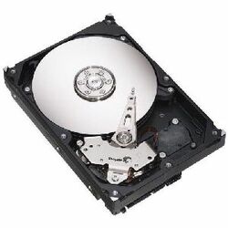 Seagate Barracuda 300 GB 3.5