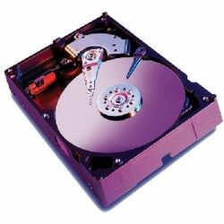Western Digital Caviar RE RE 250 GB 3.5