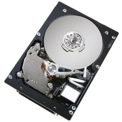 Hitachi Ultrastar 10K300 147GB Internal Hard Drive (Refurbished)
